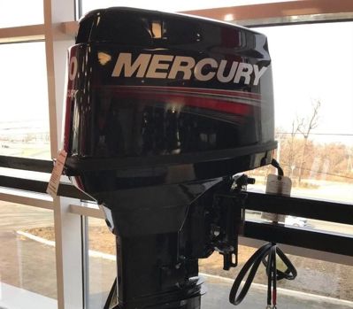 купить 2х-тактный лодочный мотор MERCURY ME 50 ELPTO Б/У в Москве - фото 