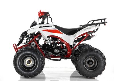 купить Квадроцикл MOTAX ATV Raptor Super LUX 125 cc в Москве - фото 