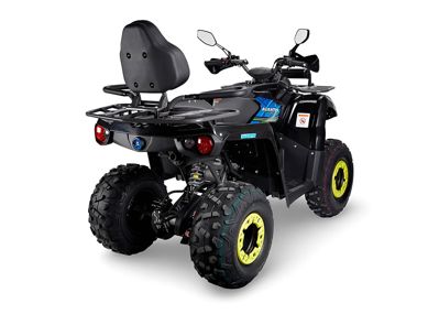 купить Квадроцикл AVANTIS Forester Long 200 Lux в Москве - фото 