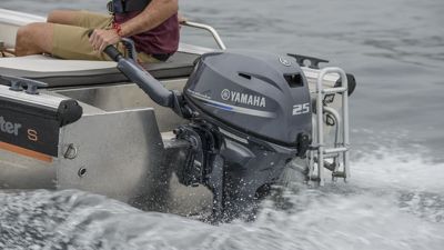 купить 4х-тактный лодочный мотор YAMAHA F25GES в Москве - фото 