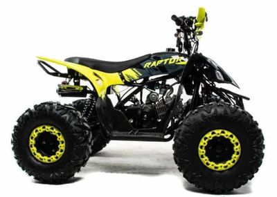 купить Квадроцикл MOTOLAND 125 Raptor в Москве - фото 