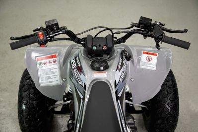 купить Квадроцикл SHARMAX Raizer Race Cup 250 в Москве - фото 