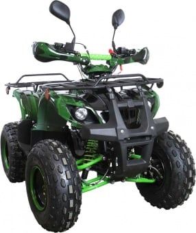 купить Квадроцикл AVANTIS Hunter 8M+ 125 2018 в Москве - фото 