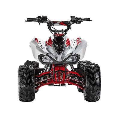 купить Квадроцикл ACCESS AMS 110 MiniSport в Москве - фото 