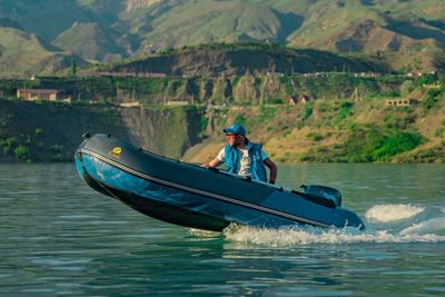 купить Лодка ПВХ ТРИТОН Plus 315 в Москве - фото 