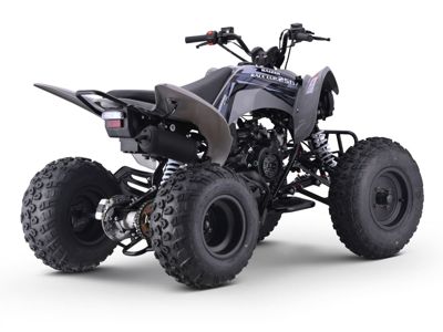 купить Квадроцикл SHARMAX Raizer Race Cup 250 в Москве - фото 