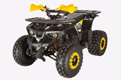 Квадроцикл AVANTIS Classic 8 New в Москве