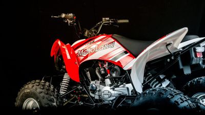 купить Квадроцикл MOTOLAND 250S в Москве - фото 