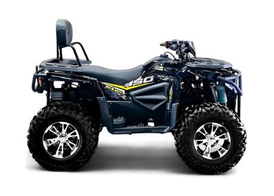купить Квадроцикл BIZON ZX350 в Москве - фото 
