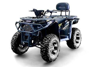 купить Квадроцикл BIZON ZX350 в Москве - фото 