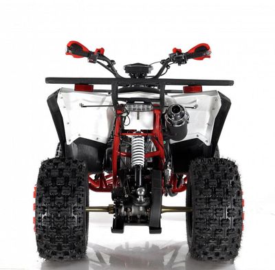 купить Квадроцикл WELS EVO X2 в Москве - фото 