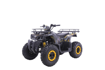 Квадроцикл MOTAX Grizlik T 200 в Москве