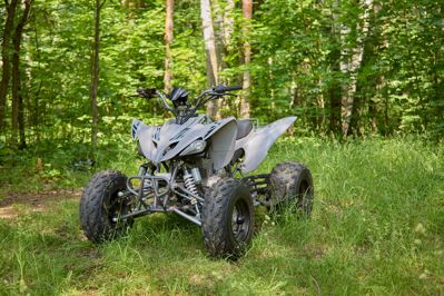 купить Квадроцикл SHARMAX Raizer Race Cup 250 в Москве - фото 