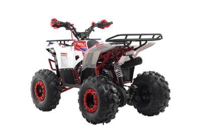 купить Квадроцикл MOTAX Grizlik A125 в Москве - фото 