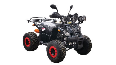 купить Квадроцикл BISON Kids 125 LD в Москве - фото 