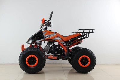 купить Квадроцикл MOTAX ATV T-Rex Super LUX 50 cc в Москве - фото 