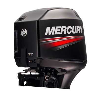купить 2х-тактный лодочный мотор MERCURY ME 50 EO (TMC) в Москве - фото 