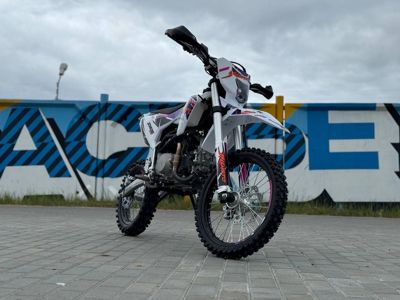 купить Мотоцикл JHL Z140E Pro PITBIKE в Москве - фото 