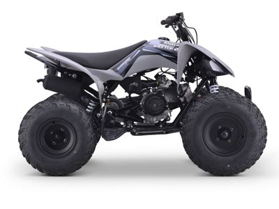 купить Квадроцикл SHARMAX Raizer Race Cup 250 в Москве - фото 