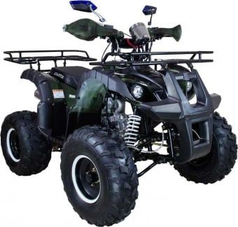 купить Квадроцикл AVANTIS Hunter 8+ 125 2018 в Москве - фото 