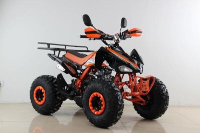 купить Квадроцикл MOTAX ATV T-Rex Super LUX 50 cc в Москве - фото 