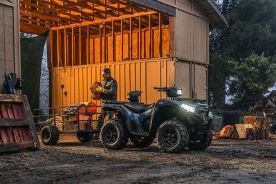 купить Квадроцикл KAWASAKI Brute Force 750 EPS (2024) (ПСМ) в Москве - фото 