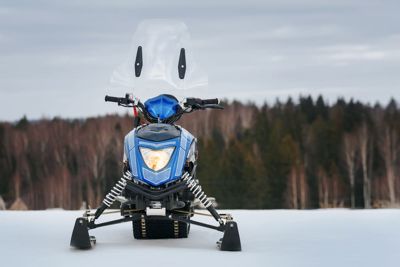 купить Снегоход SHARMAX Forester SN-210 (2024) в Москве - фото 