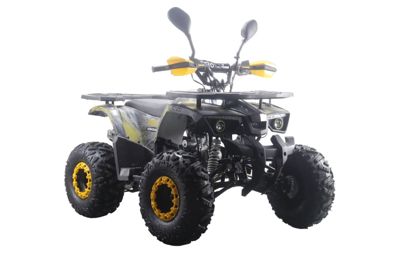 купить Квадроцикл MOTAX ATV Grizlik Premium 125cc в Москве - фото 