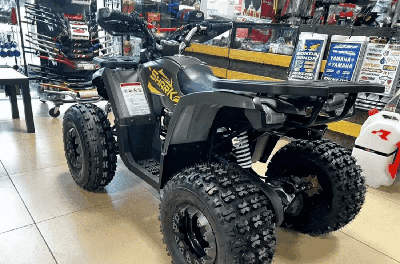 купить Квадроцикл YAMAHA Shark 175 в Москве - фото 