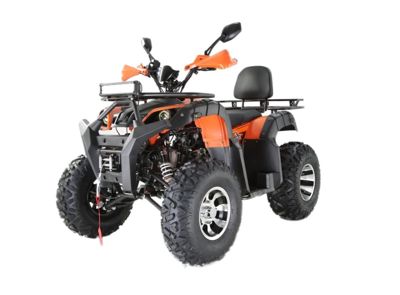 купить Квадроцикл YACOTA Sela 200 Max в Москве - фото 