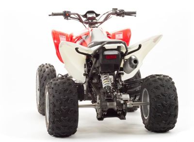 купить Квадроцикл MOTOLAND 125S (2020 Г.) в Москве - фото 