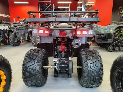 купить Квадроцикл MOTAX Grizlik T 200 в Москве - фото 