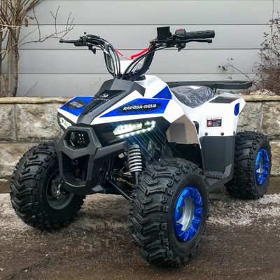 купить Квадроцикл YACOTA Raposa в Москве - фото 