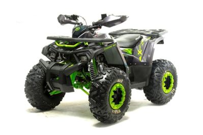 Квадроцикл MOTOLAND Wild X Баланс. вал. (2021 Г.) в Москве