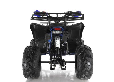купить Квадроцикл WELS Thunder EVO в Москве - фото 