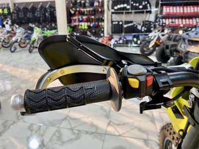 купить Мотоцикл BRZ Z6 PR300 (172FMM-PR) ENDURO в Москве - фото 