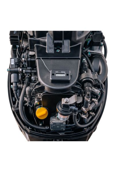 купить 4х-тактный лодочный мотор REEF RIDER RREF20FES в Москве - фото 