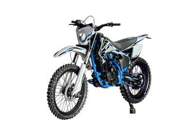 купить Мотоцикл кроссовый эндуро ПРОГАСИ Palma 300 в Москве - фото 