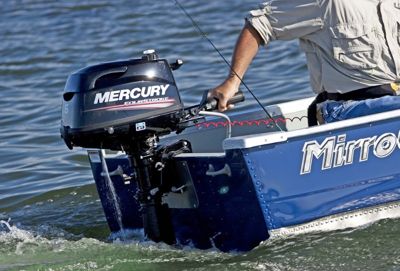 купить 4х-тактный лодочный мотор MERCURY ME F 5M в Москве - фото 