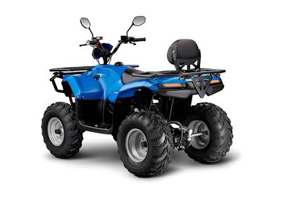 купить Квадроцикл IRBIS ATV200 LUX в Москве - фото 