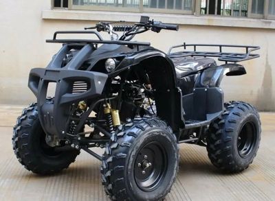 купить Квадроцикл TIGER Opti 150 (2024) в Москве - фото 