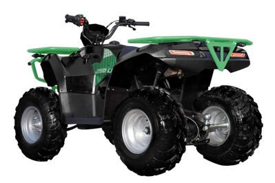 купить Квадроцикл SHARMAX Luxe 250 (2024) в Москве - фото 