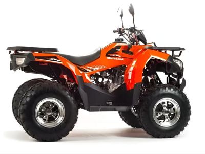 купить Квадроцикл MOTOLAND 200 Max в Москве - фото 