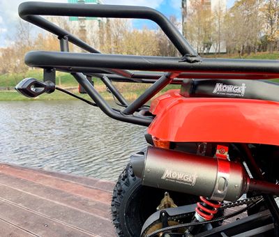 купить Квадроцикл MOWGLI Bold 8+ в Москве - фото 