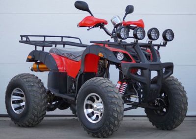 купить Квадроцикл STALKER 250 Lux в Москве - фото 