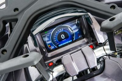 купить Квадроцикл MOTOLAND 200 Wild Track X Pro (2022) в Москве - фото 