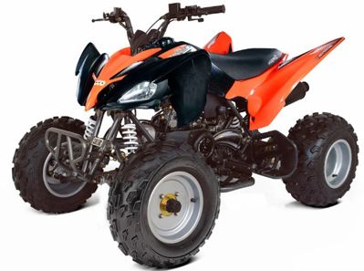 купить Квадроцикл ABM Scorpion 150 в Москве - фото 