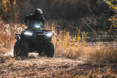 купить Квадроцикл KAWASAKI Brute Force 750 EPS (2024) (ПСМ) в Москве - фото 