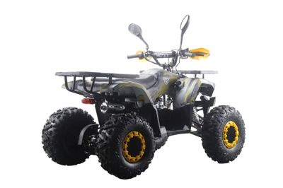 купить Квадроцикл MOTAX ATV Grizlik Premium 125cc в Москве - фото 