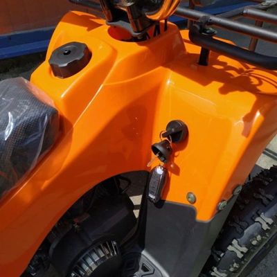 купить Квадроцикл STALKER 50 в Москве - фото 